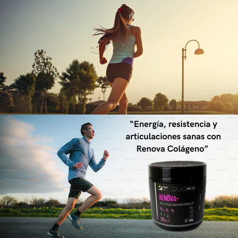 Image of RENOVA+ COLÁGENO DOBLEMENTE HIDROLIZADO.